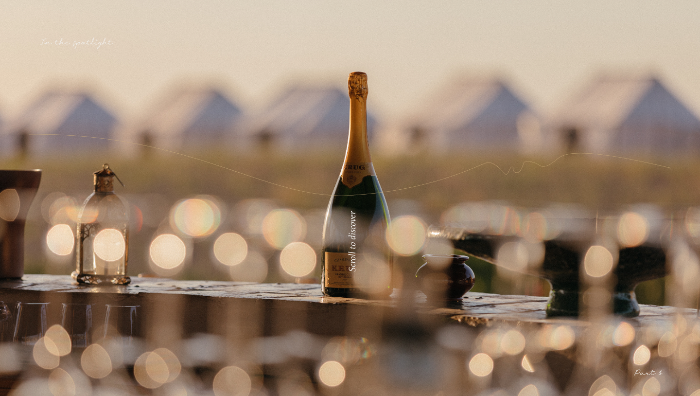 Pink House Studio for Krug Champagne